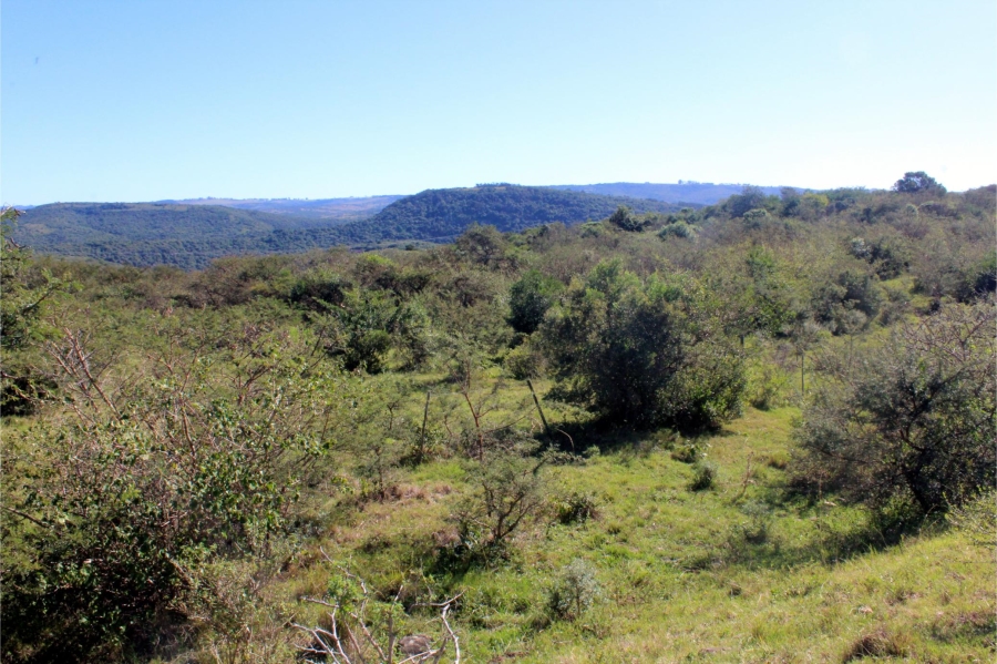 5 Bedroom Property for Sale in Mooiplaas Eastern Cape